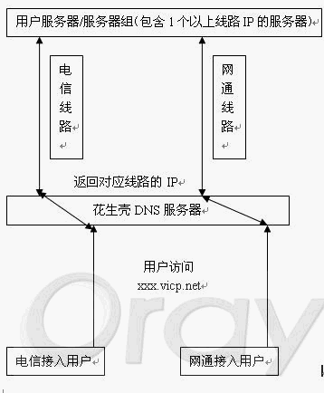 Oray域名双线路智能DNS负载均衡 全福编程网