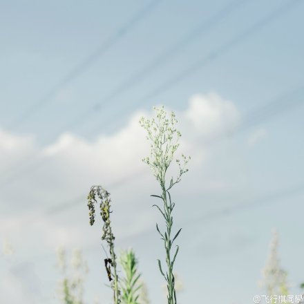 PS如何调出夏天的味道 全福编程网