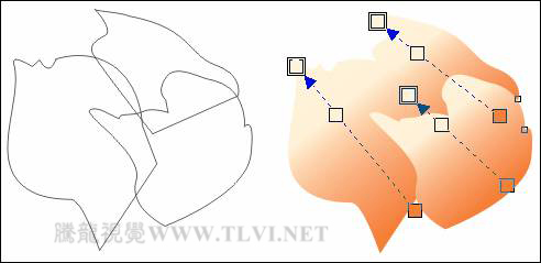 CorelDRAW绘制人物工笔画美女人物教程,全福编程网