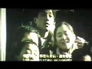 TC版是什么意思 全福编程网