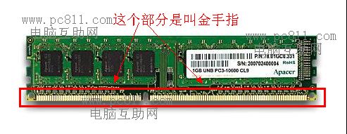 什么是金手指 全福编程网
