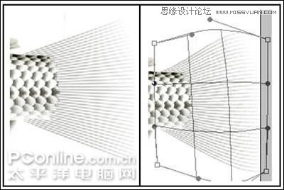 Photoshop鼠绘逼真的鲤鱼详细教程,PS教程,思缘教程网