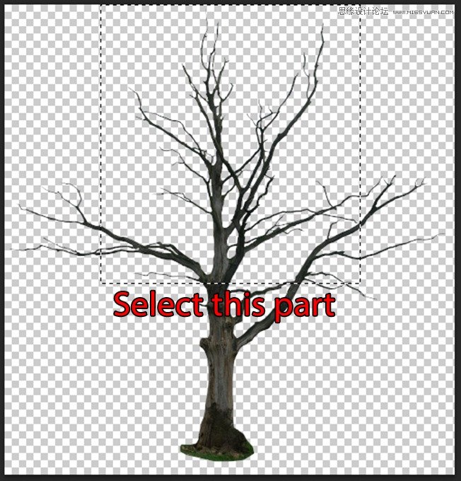 Photoshop合成森林中北树妖围困的仙子,PS教程,思缘教程网