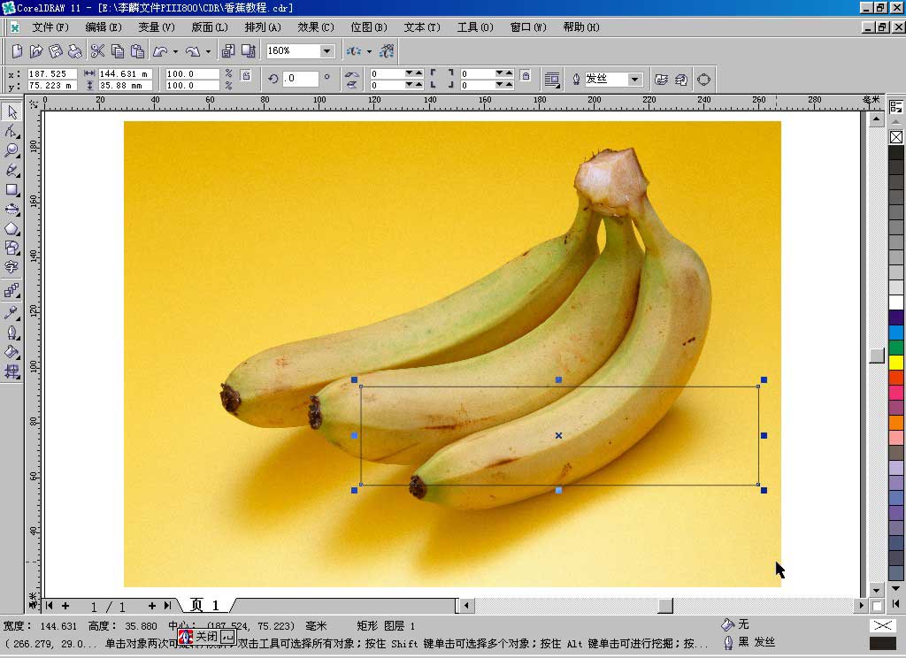 CDR网格工具制作逼真香蕉 全福编程网教程网 CDR实例教程