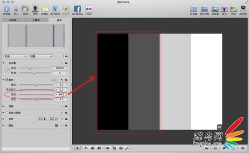 Aperture中影调调整的三大法宝之二