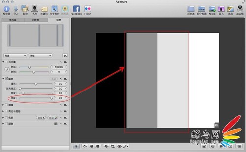 Aperture中影调调整的三大法宝之二