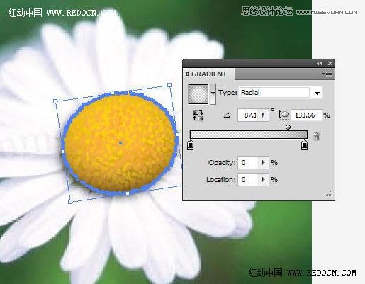 Illustrator绘制漂亮的白色雏菊效果,PS教程,思缘教程网