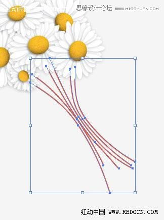 Illustrator绘制漂亮的白色雏菊效果,PS教程,思缘教程网