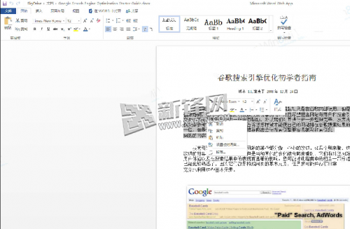 SkyDrive,PDF,Word